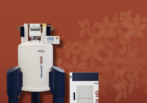 600 MHz NMR